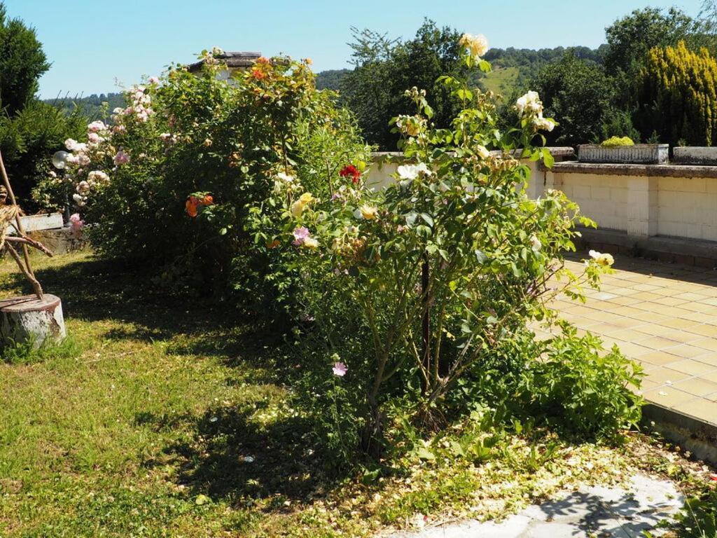 Holiday Home Villa Bauer Traben-Trarbach Exterior photo